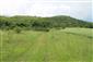 užovka stromová (30.5.2014)